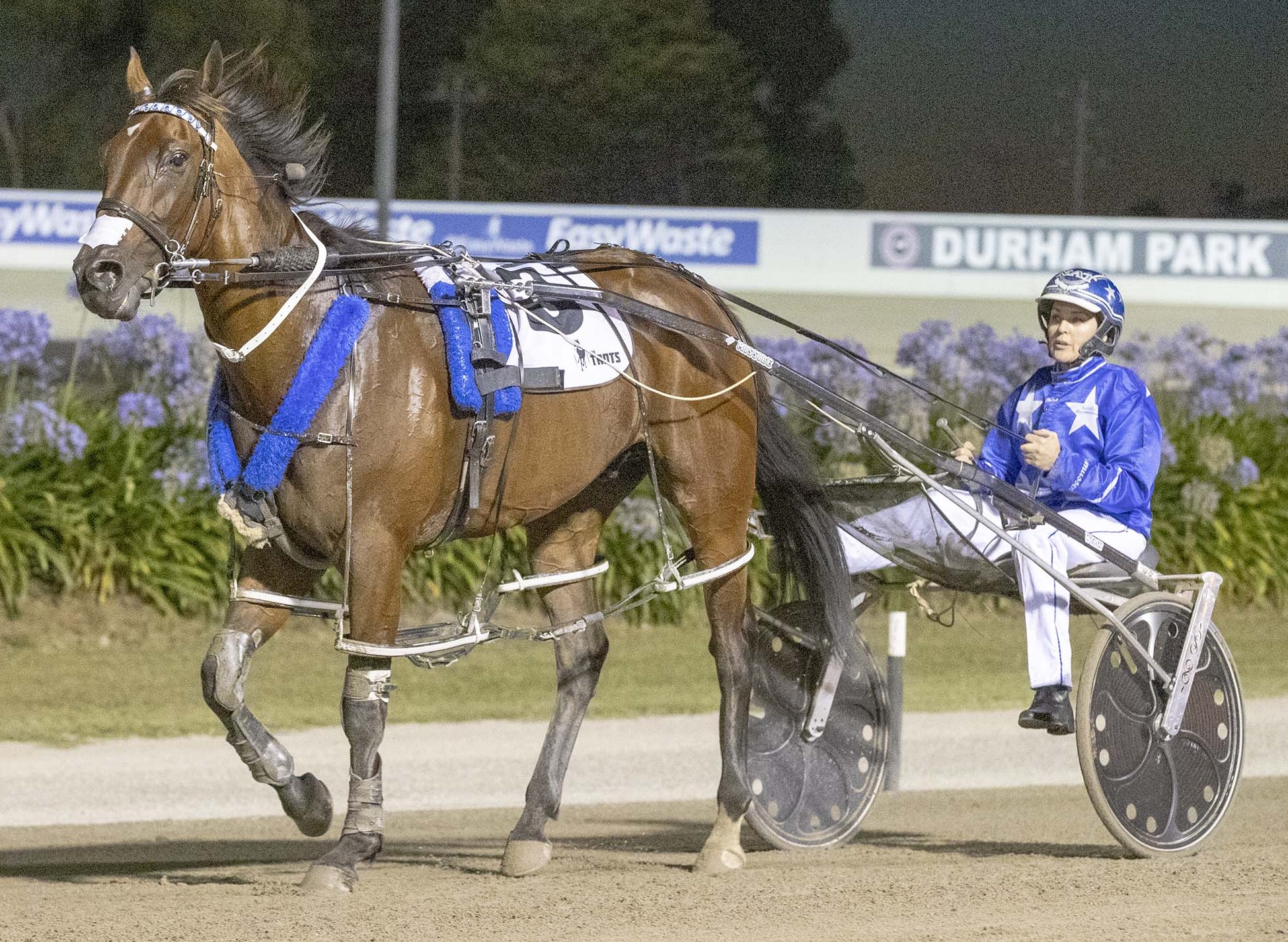 NZ Cup Heads of state to collide in key prelude Harness Racing Victoria